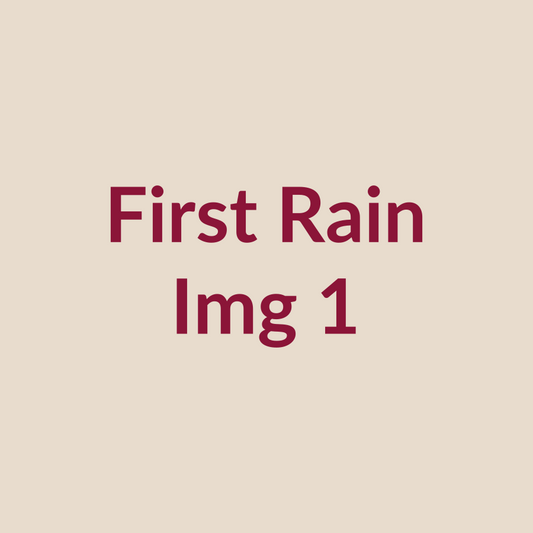 First Rain scented soy wax candle
